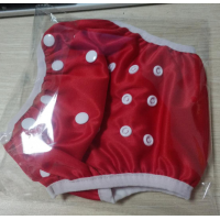 Swimming Cloth diaper