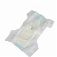 China pet diaper